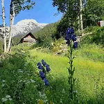& Glamping Grintovec Lüks kamp alanı *