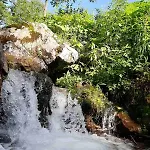 Lüks kamp alanı & Glamping Grintovec *