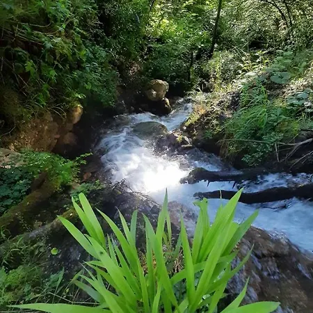 & Glamping Grintovec