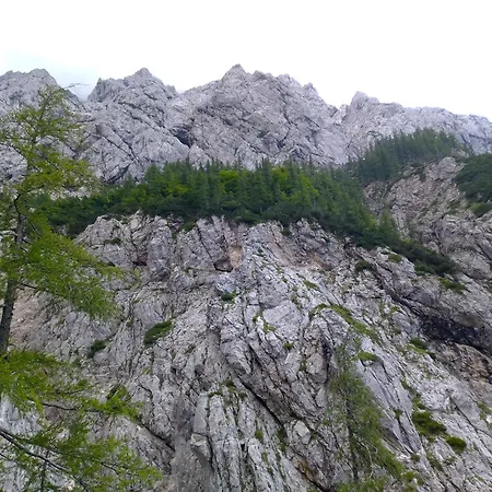 Luxusní stan Camping&glamping Grintovec *