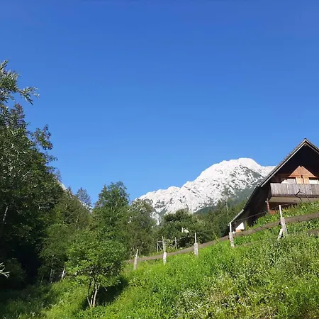 & Glamping Grintovec Lüks kamp alanı *