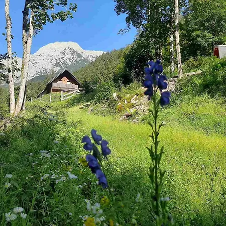 Camping&glamping Grintovec Luxusní stan *