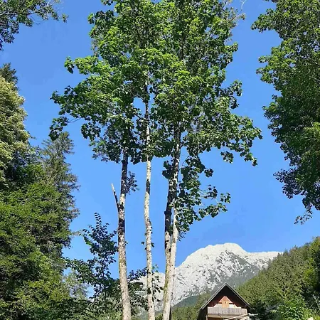 Camping&glamping Grintovec Luxusní stan Preddvor