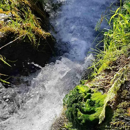 Camping&glamping Grintovec Luxusní stan