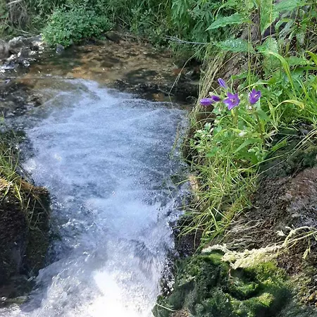 & Glamping Grintovec Preddvor