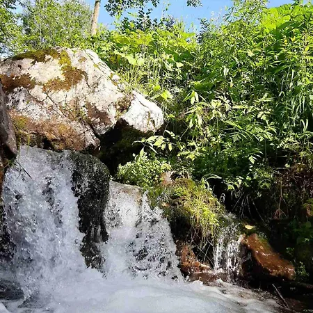 Luksuzni šotor & Glamping Grintovec *