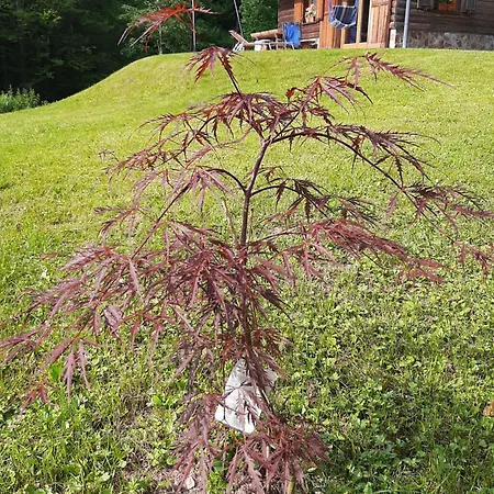Camping&glamping Grintovec Luxusní stan *