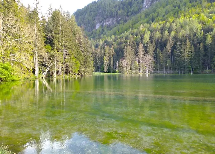 & Glamping Grintovec * Preddvor