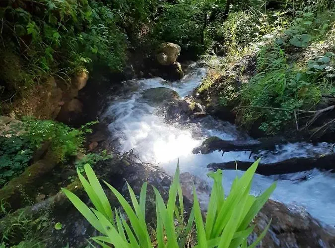 & Glamping Grintovec