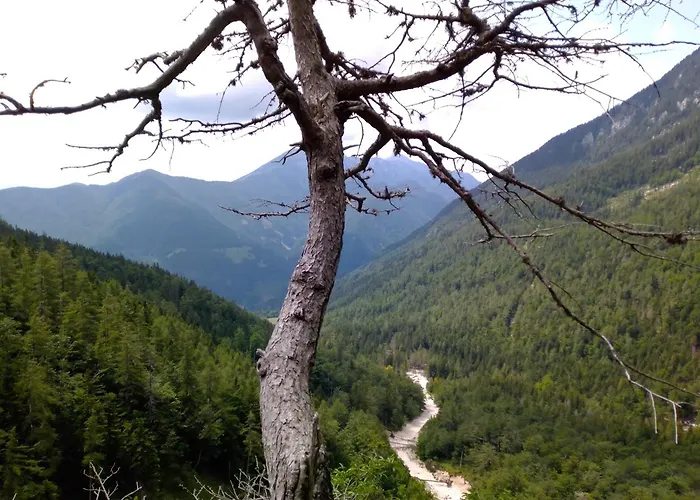 & Glamping Grintovec