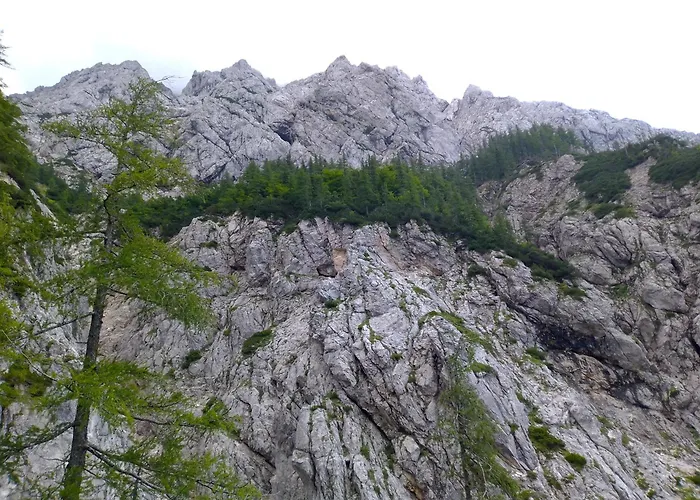 Luxury tent & Glamping Grintovec *