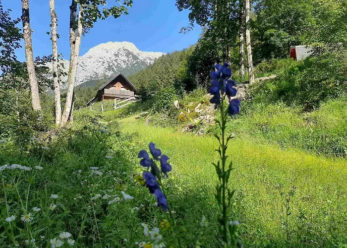 & Glamping Grintovec Luxury tent *