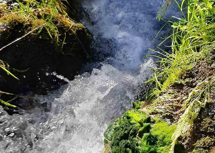 & Glamping Grintovec Luxury tent