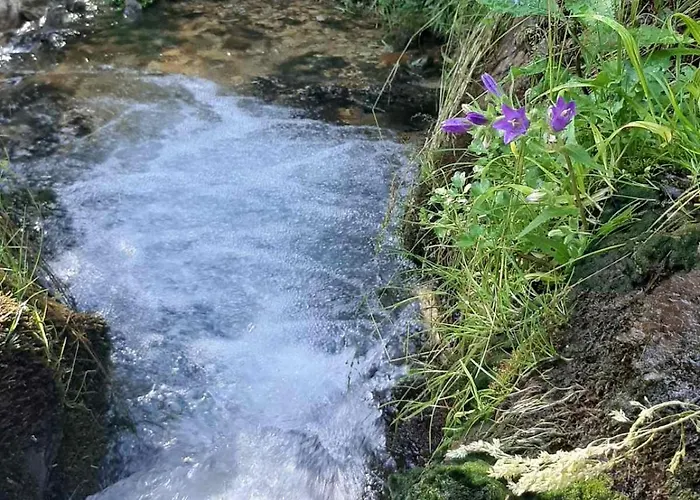 & Glamping Grintovec Preddvor