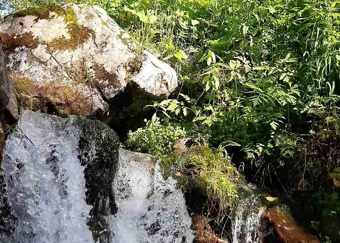 Luxury tent & Glamping Grintovec *